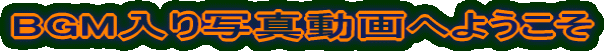 BGM����ʐ^����ւ悤����